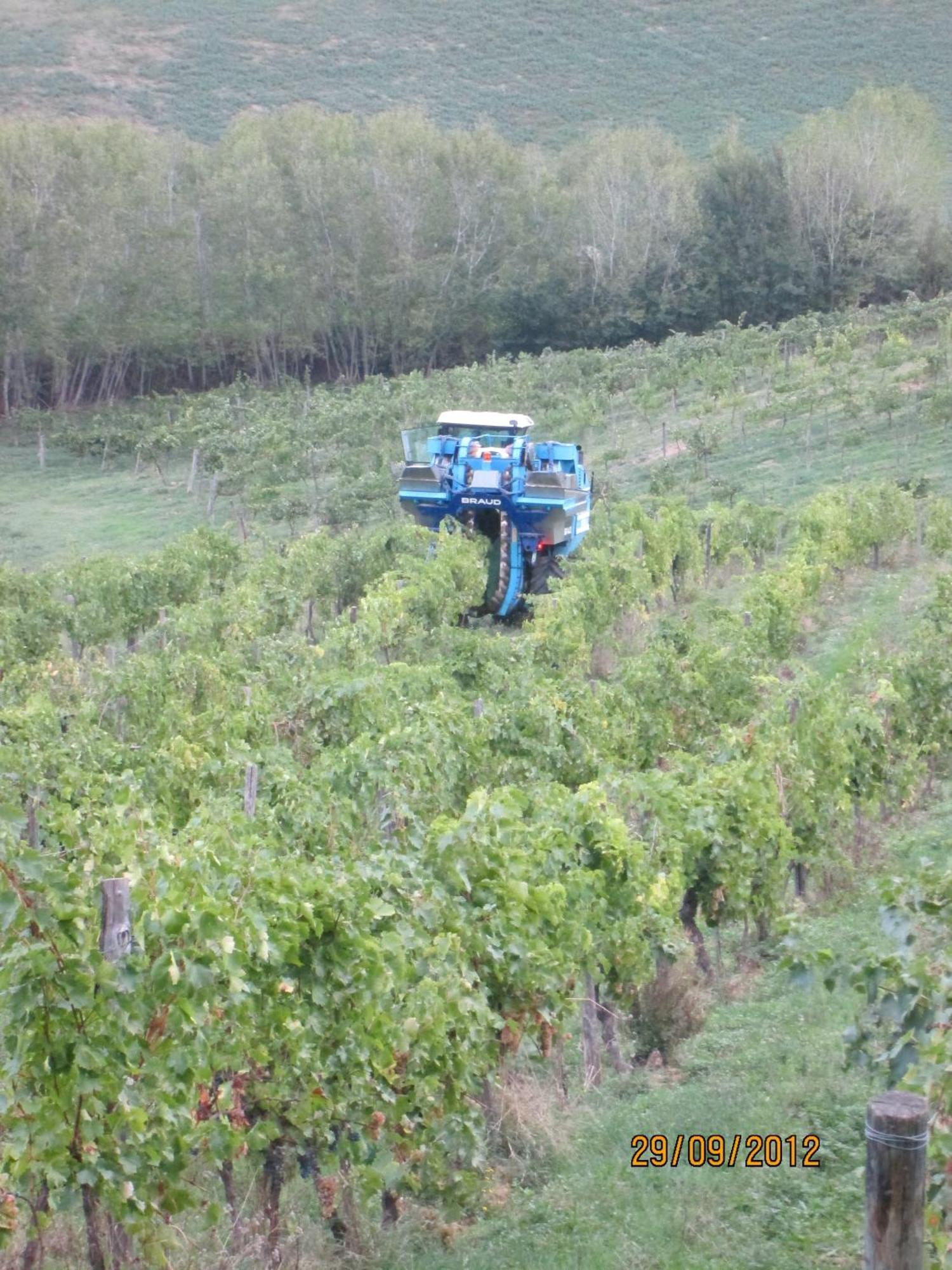 Tenuta Il Tresto Poggibonsi Exterior photo